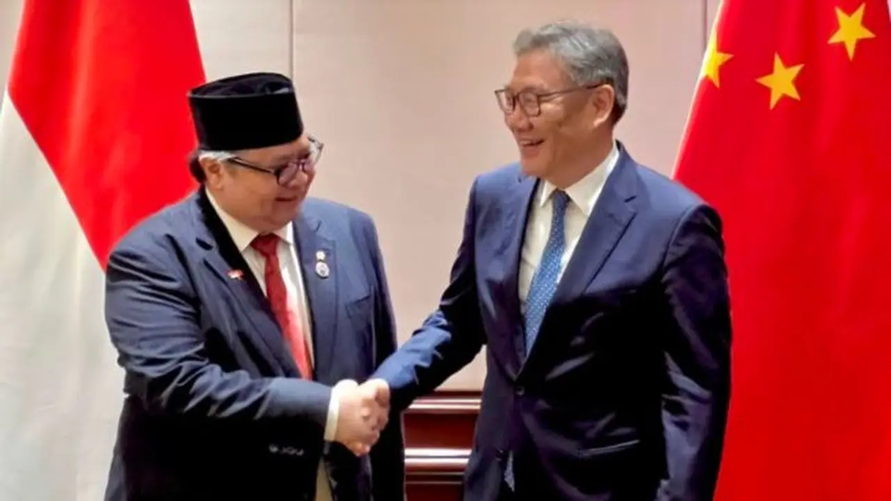 Airlangga Ajak Investor China Garap PLTS 100 GW di Indonesia
